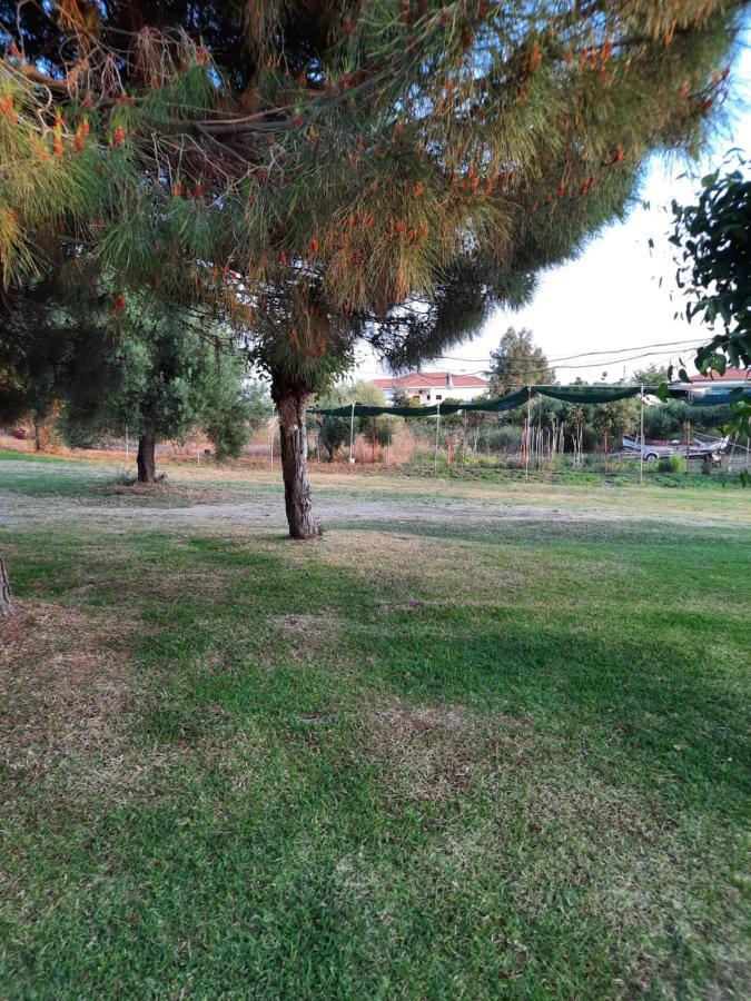 Bungalows Anestis Toroni Exterior photo